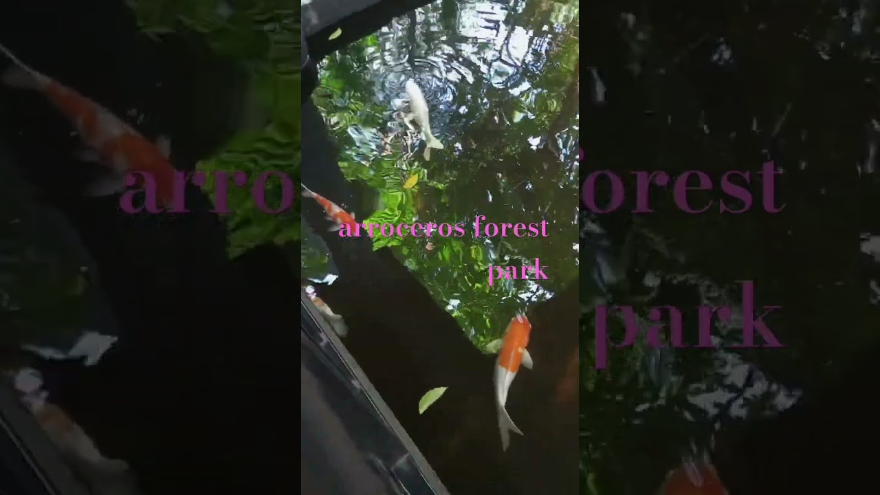 arroceros forest park #manilaphilippines #arrocerosforestpark #manilaattractions
