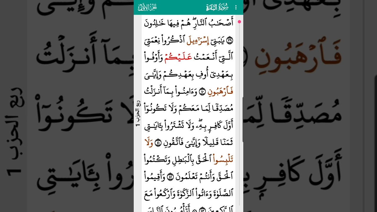 surah Al Baqarah Mishary Alafasy 2 I سورة البقرة