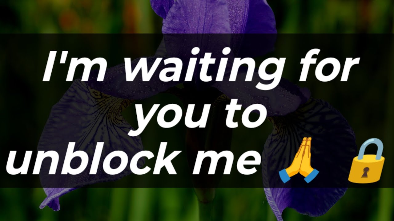 Напишите мне в личку 🥰🌹 || Жду, когда вы меня разблокируете 🙏 🔒 || Любовное письмо 💌🥰🫂