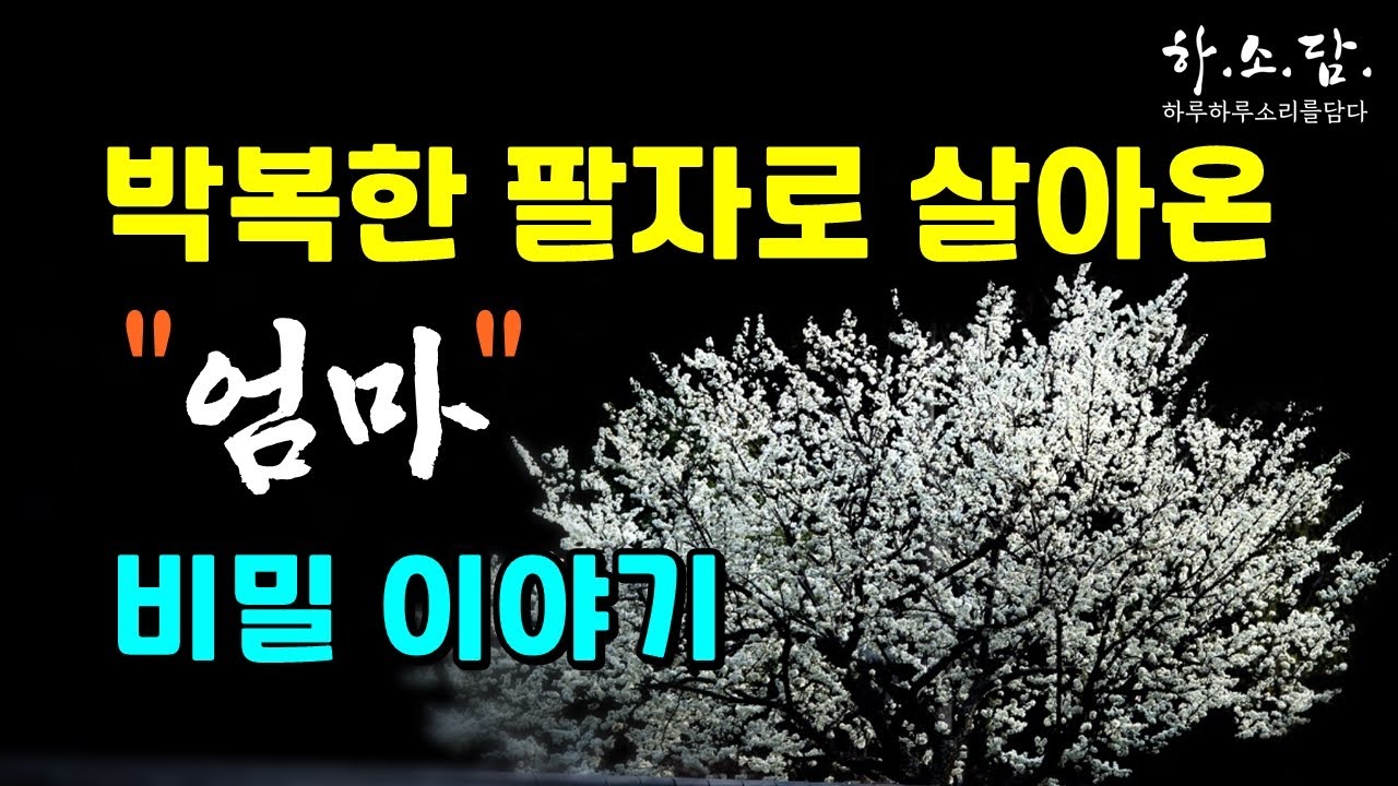 박복한 팔자로 살아 온 '엄마' 의 비밀스런 이야기. #하소담오디오드라마