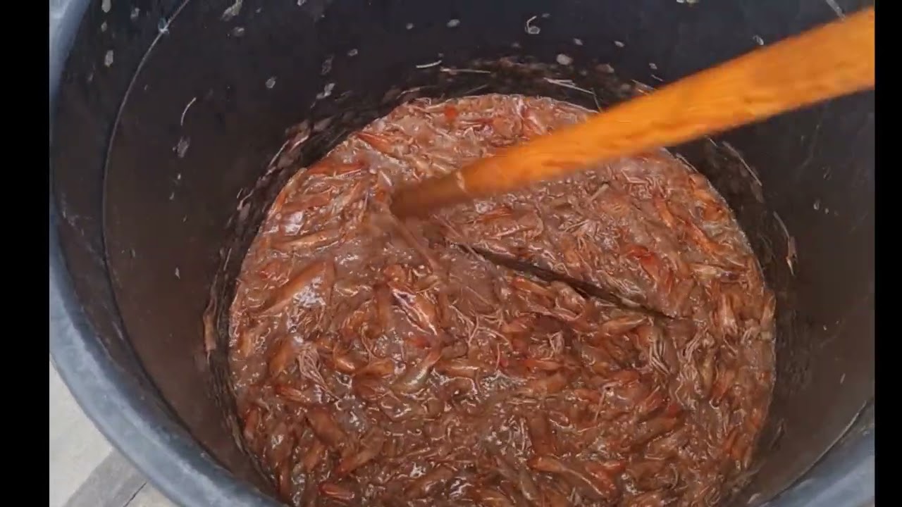 طريقة عمل السماد السمكي