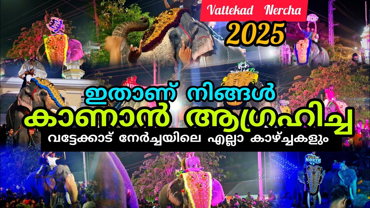 നിങ്ങൾ കാണാൻ ആഗ്രഹിച്ച വട്ടേക്കാട് നേർച്ചയിലെ കാഴ്ച്ചകളുടെ ഫുൾ വീഡിയോ 🎊#lathevlogs #nercha