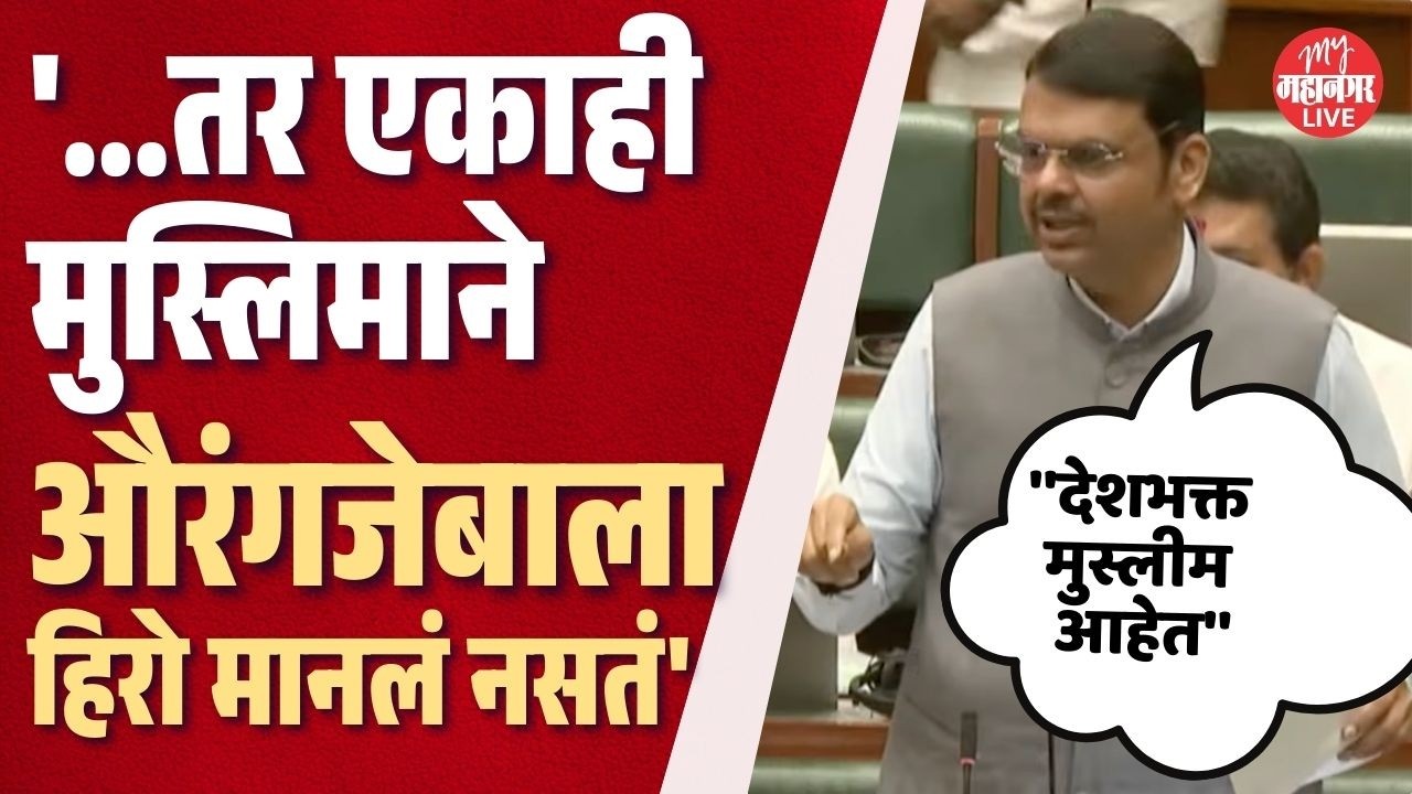 CM Fadnavis On Tipu Sultan: 