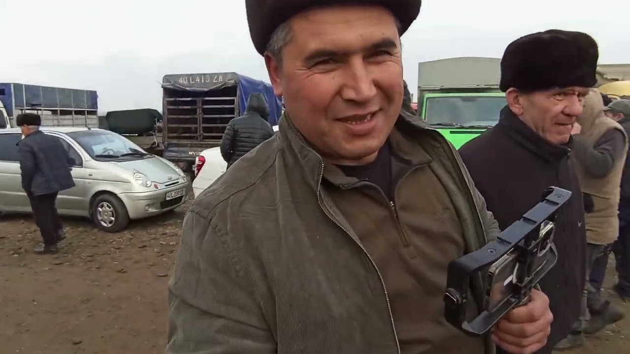 Beshariq mol bozori sotilgan va qaytgan chorva narxlari 