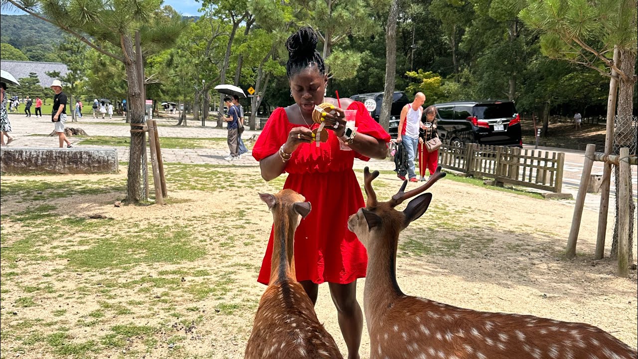 We Got Attacked By Deer In Nara, Japan