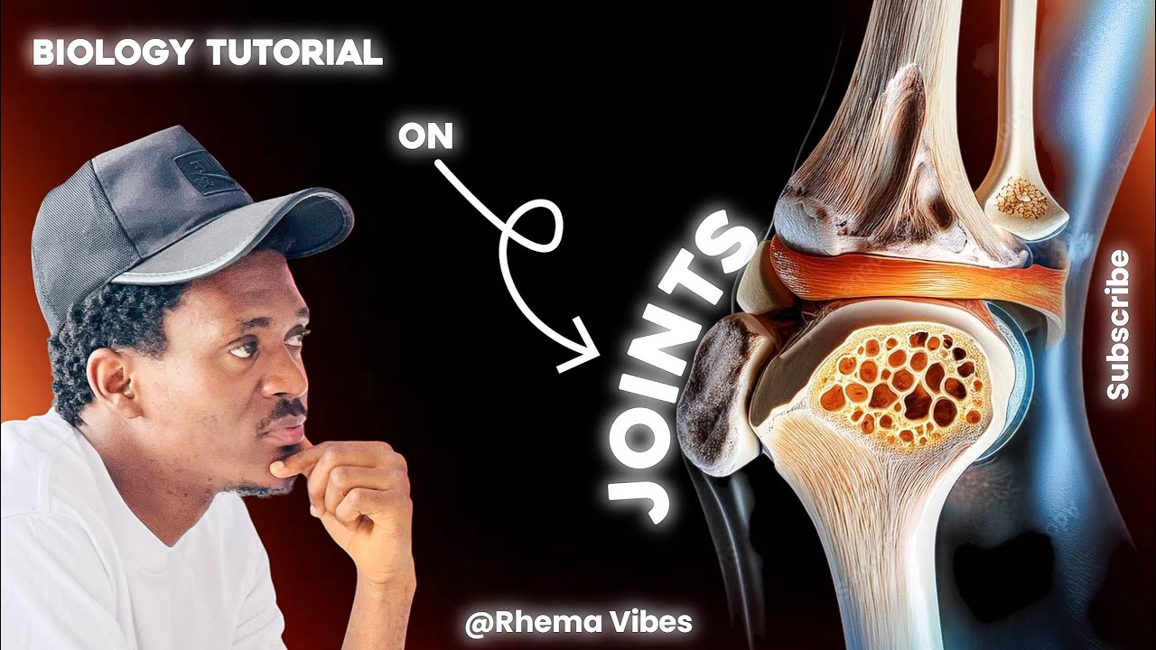 Суставы (Структура и функции | Типы)