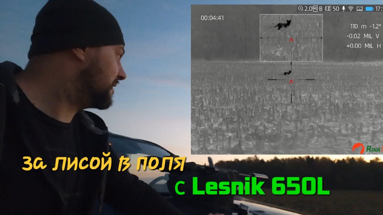 Охота на лис в кукурузном поле с тепловизором Lesnik 650L