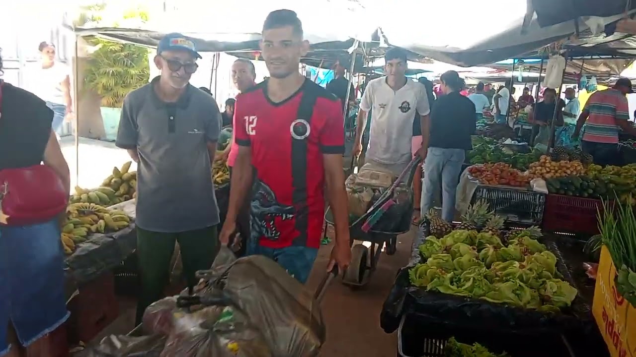 Feira de jardim ceará 