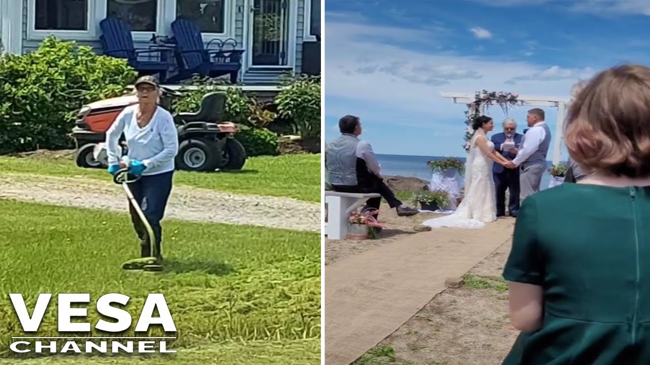 Karen decided to ruin a wedding by noisily mowing her lawn