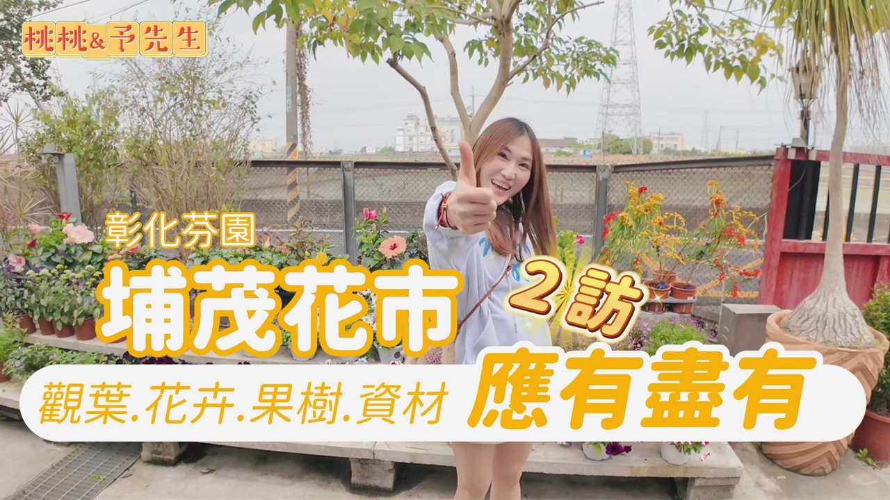 彰化芬園-埔茂花市2訪-相隔一年又來逛，還是很好買！離南投最近的大型植物市場推薦～