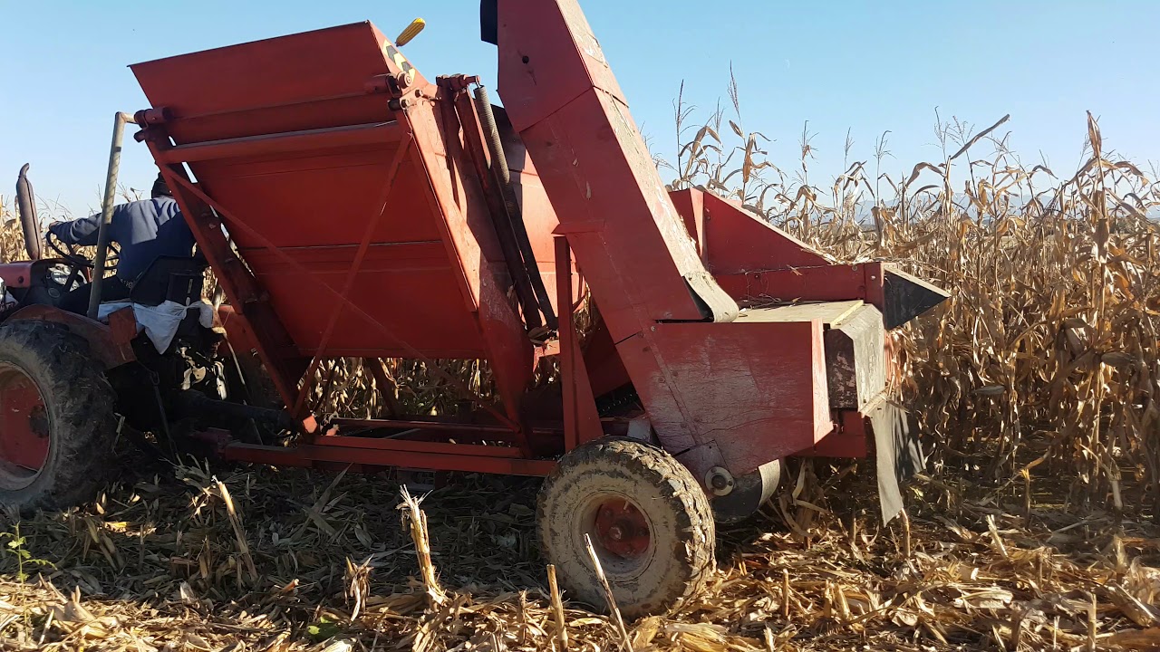 Tractor Same la cules de porumb cu Sip Sempeter 3500