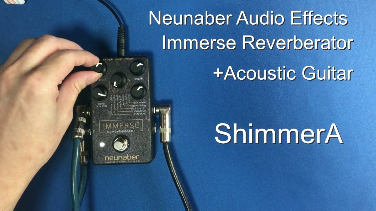 Immerse Reverberator+Acoustic Guitar