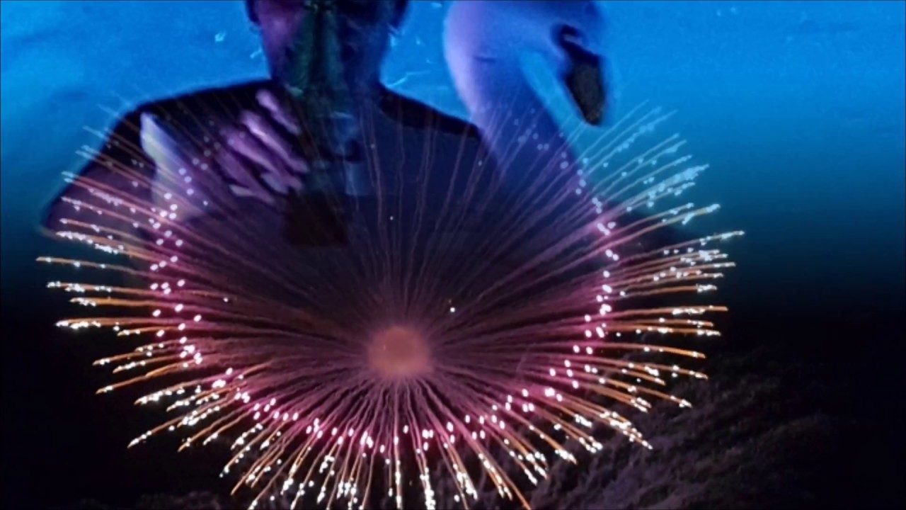 Malta - Mqabba - 9 augustus 2018