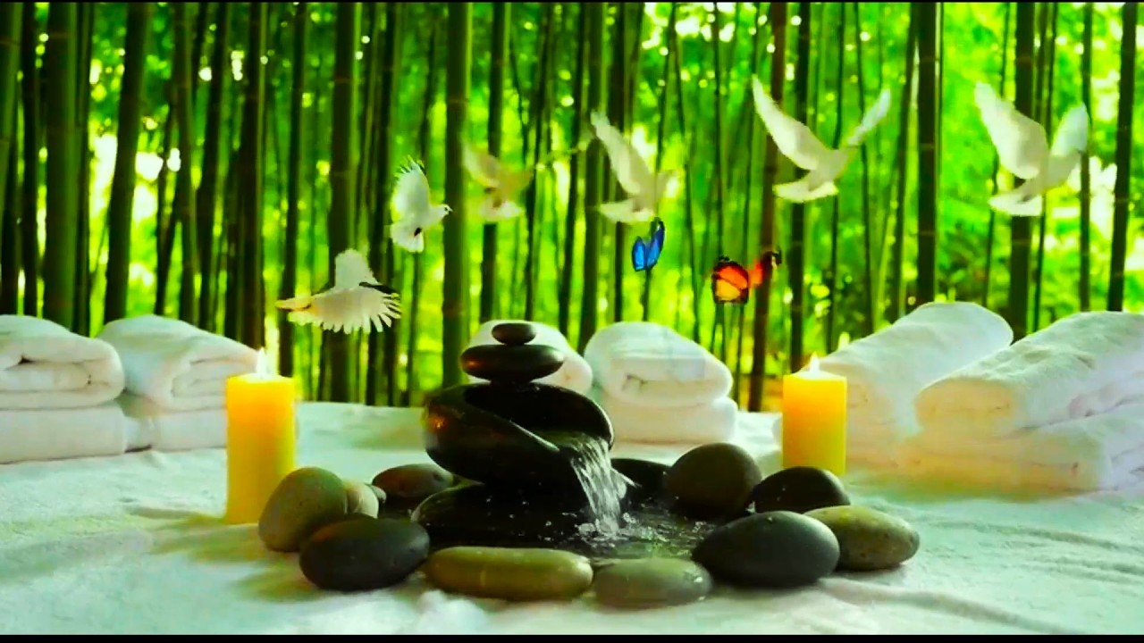 Zen Garden Relaxation 🌿 Peaceful Meditation Music with Bamboo & Nature Sounds  Spa BGM