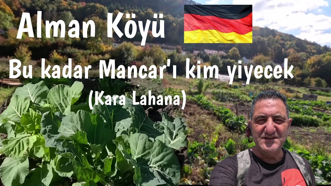 Almanyada ilginç Köy hayatı /Türklerin Hoby Bahçeleri 