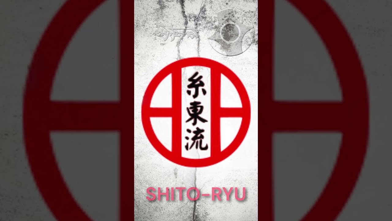 Las Modalidades del Karate: &iquest;Cu&aacute;l es la Diferencia entre Shotokan, Goju-Ryu, y M&aacute;s?  #curioseando