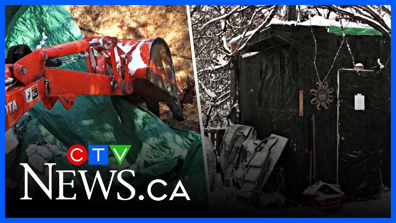 Tiny home torn down