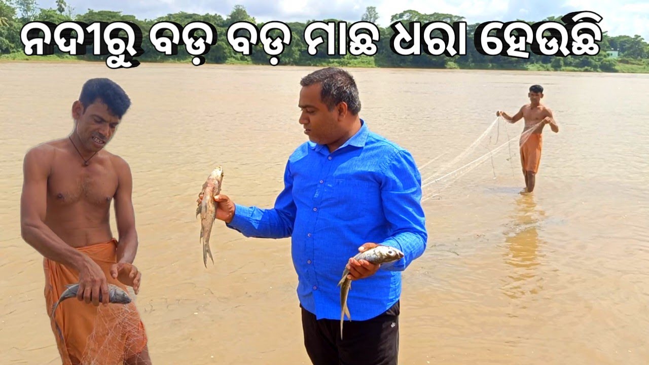ନଦୀରୁ ଜାଲରେ ବଡ଼ ବଡ଼ ମାଛ ଧରା ହେଉଛି 🦈🐟 l ଦାଦାଙ୍କ ଥଣ୍ଡା ବୋତଲରେ ତିଆରି ଝାଡୁ l Net fishing in Luna river