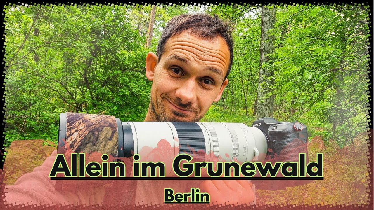 Stadtrand-Waldgebiet fotografieren eine gute Idee???