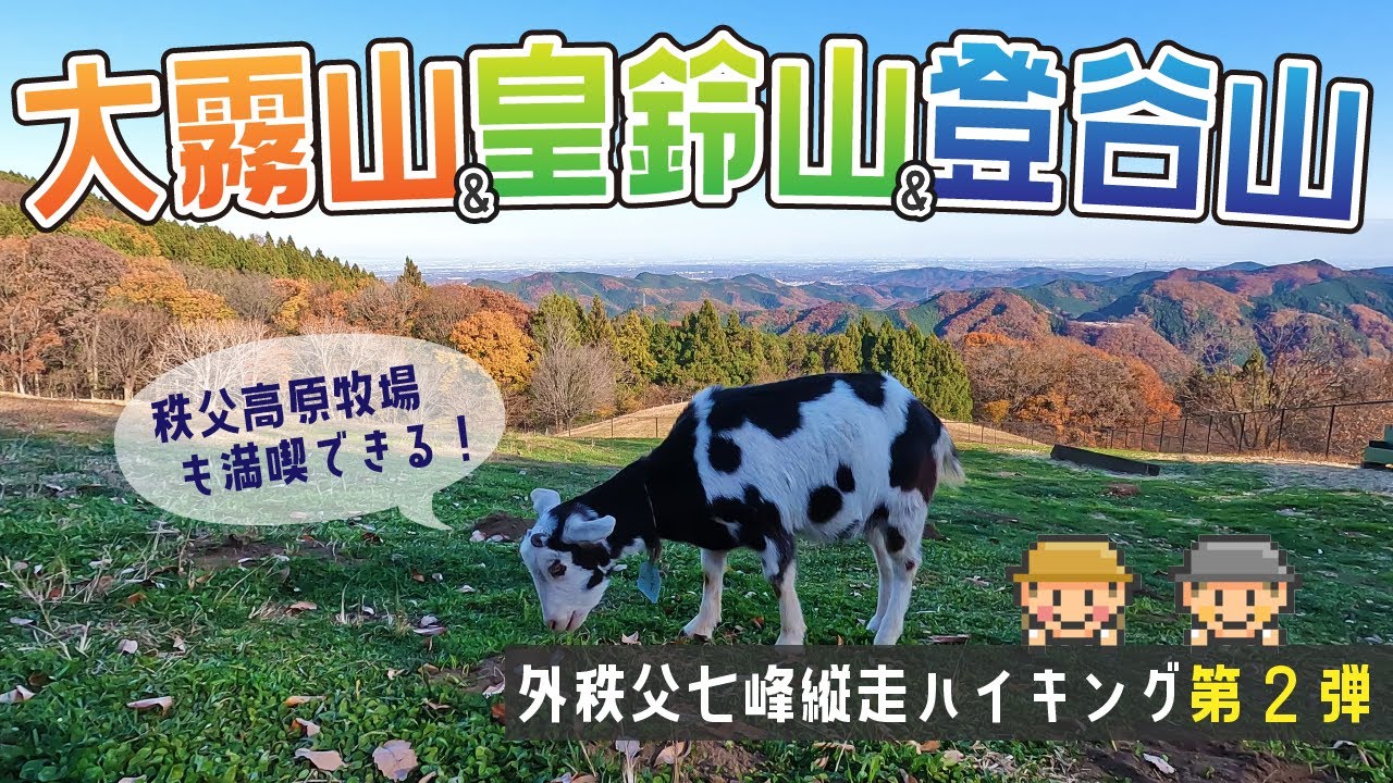 【電車・バスで行く！埼玉登山】外秩父七峰縦走スタンプラリー第2弾｜大霧山～皇鈴山～登谷山　秩父高原牧場に立ち寄りパノラマ絶景を満喫するハイキング！