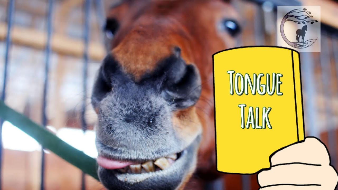 Different Ways Horses Use Their Tongues