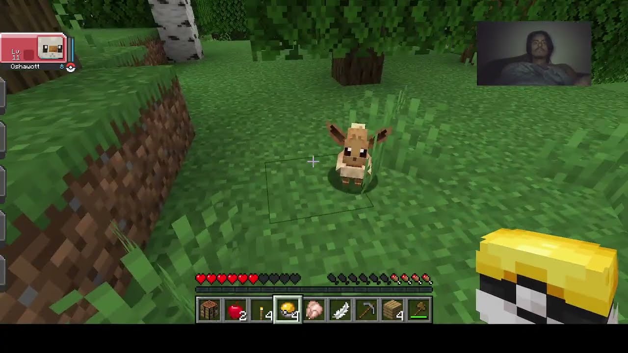 POKEMON COBBLEVERSE PT.1 SAY WASSUP