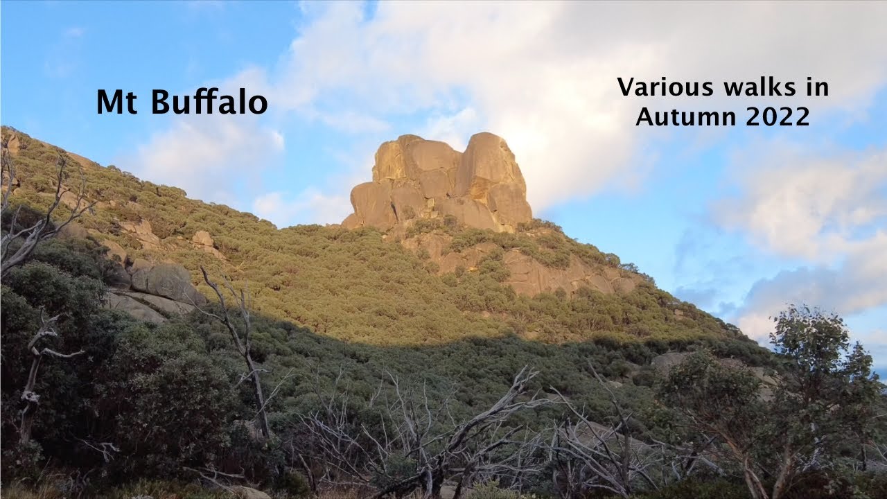 Mt Buffalo NP