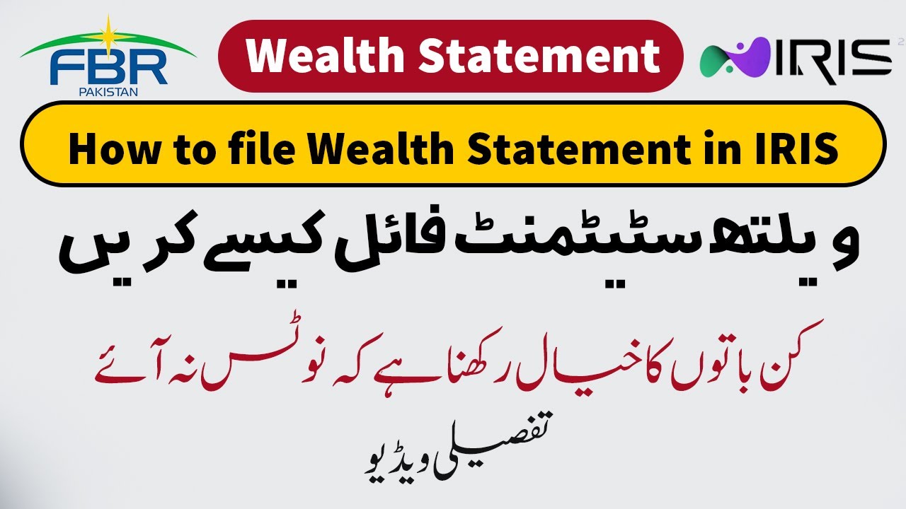 How to file wealth Statement in IRIS FBR