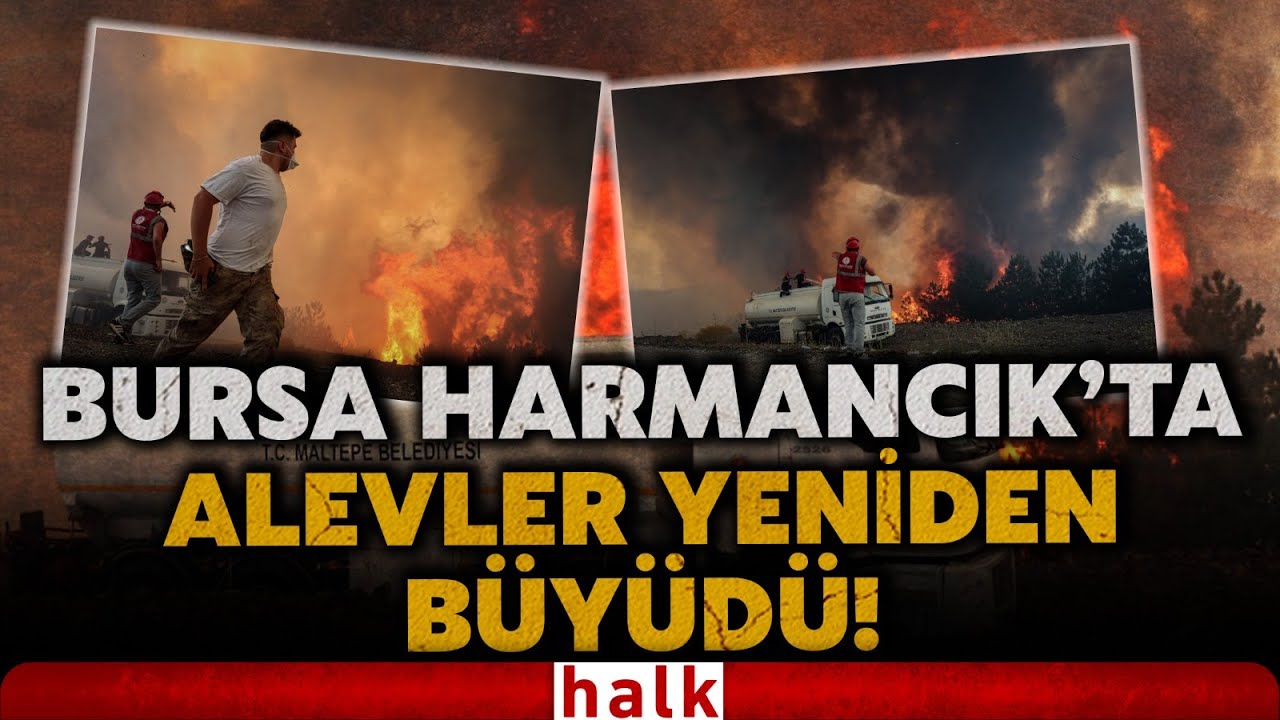 BURSA'DA FELAKET BİR TÜRLÜ BİTMİYOR! Harmancık'ta orman yangını yeniden büyüdü! İşte son durum!