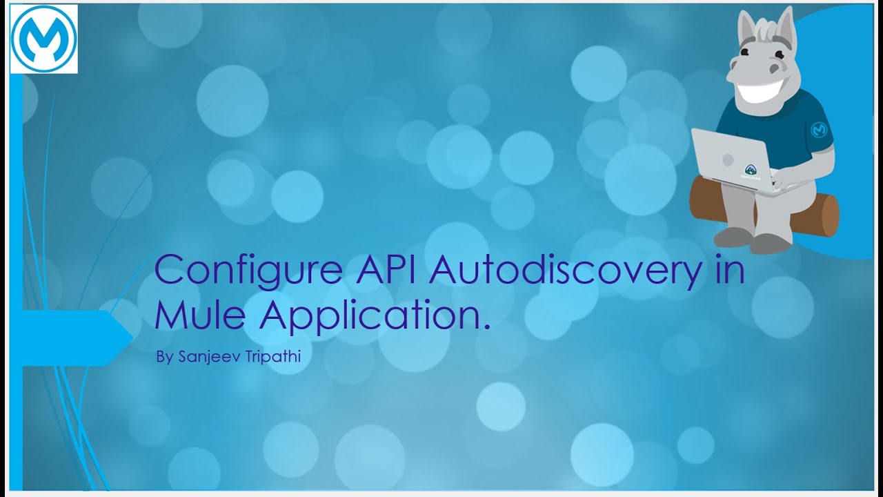 Настройте автоматическое обнаружение API в приложении Mule.