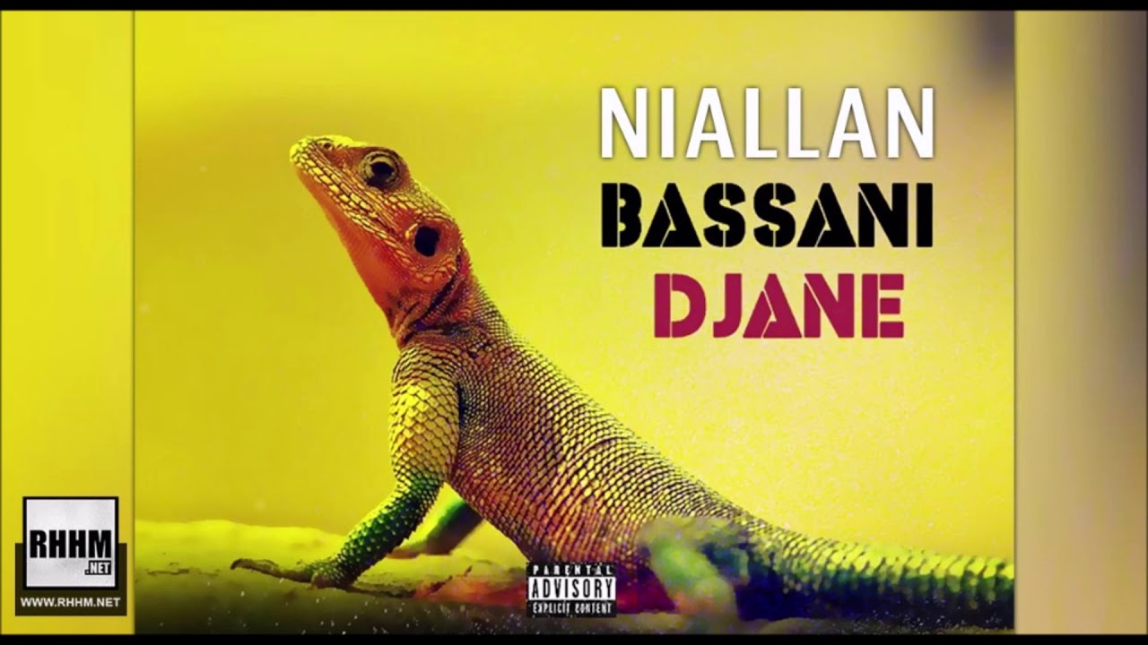 NIALLAN - BASSANI DJANE (2019)