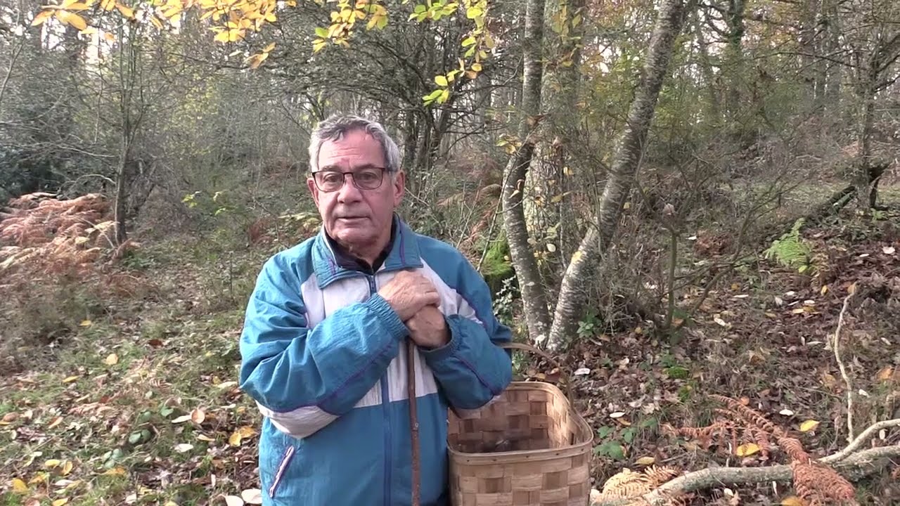 Micologia | Clitocybe nebularis | 18.12.2021
