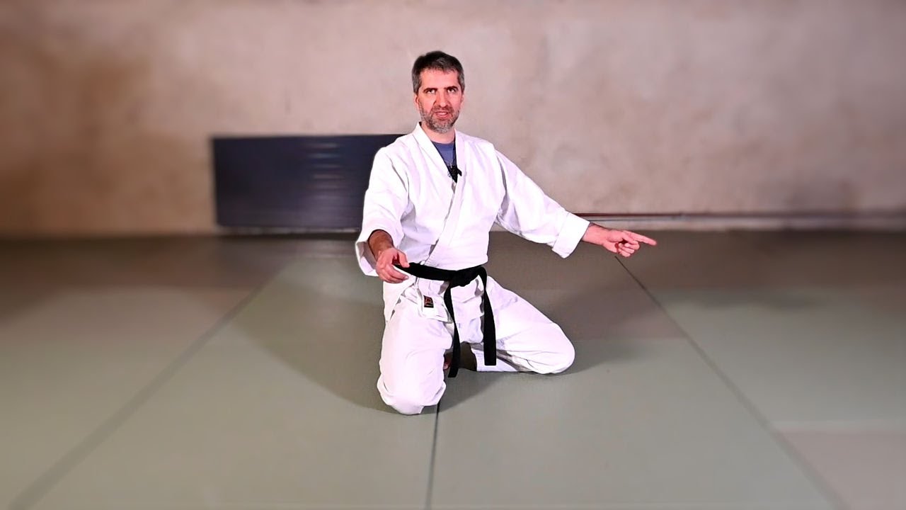 How to: Move on the knees (shikko) -  膝行 - Aikido Virtual Dojo