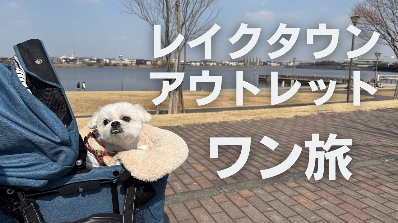 【犬連れVlog】湖畔の風が心地いい。もちと巡るレイクタウンアウトレットで最高のリフレッシュ休日