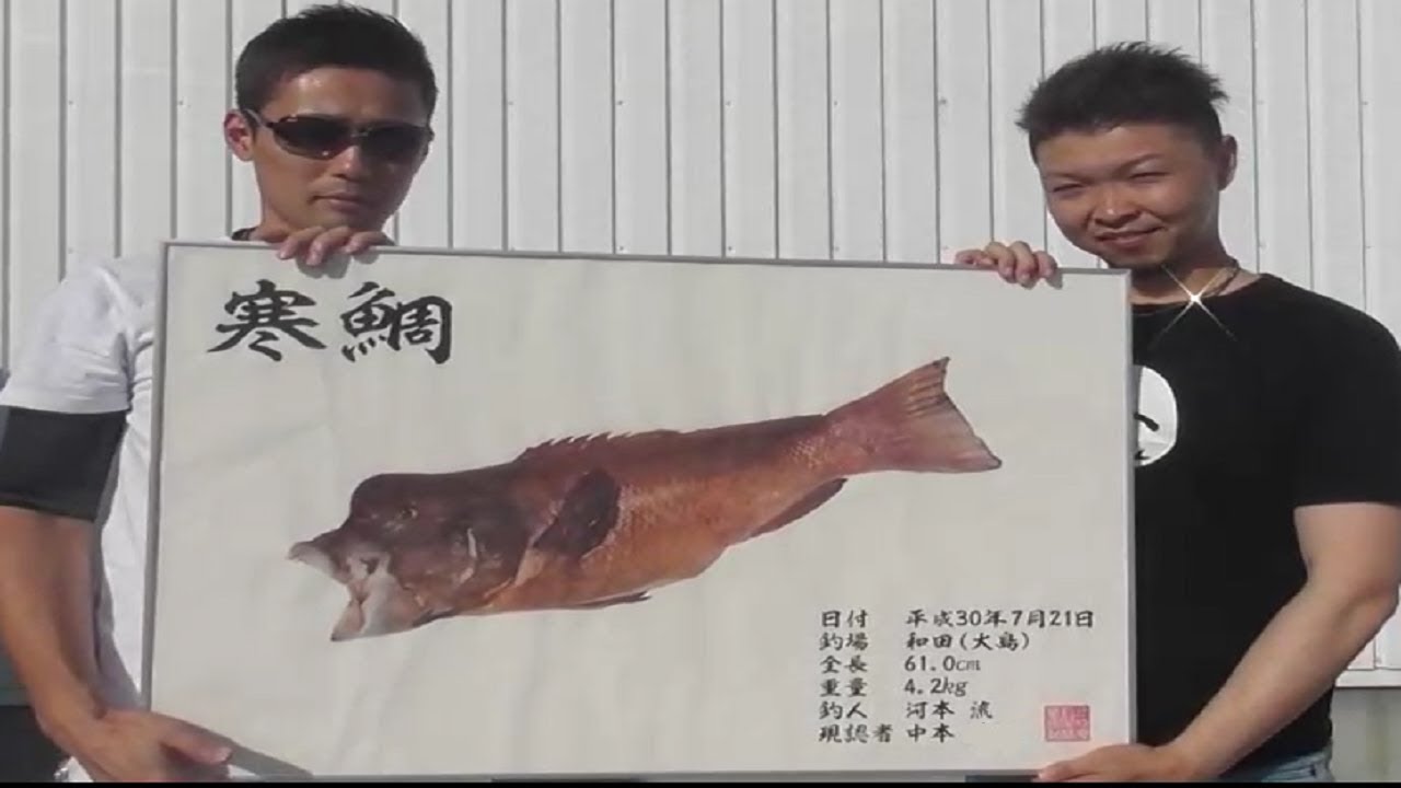 【 瀬戸内を釣る 】昼間の大島！爆釣！キスがうまいんだわ！