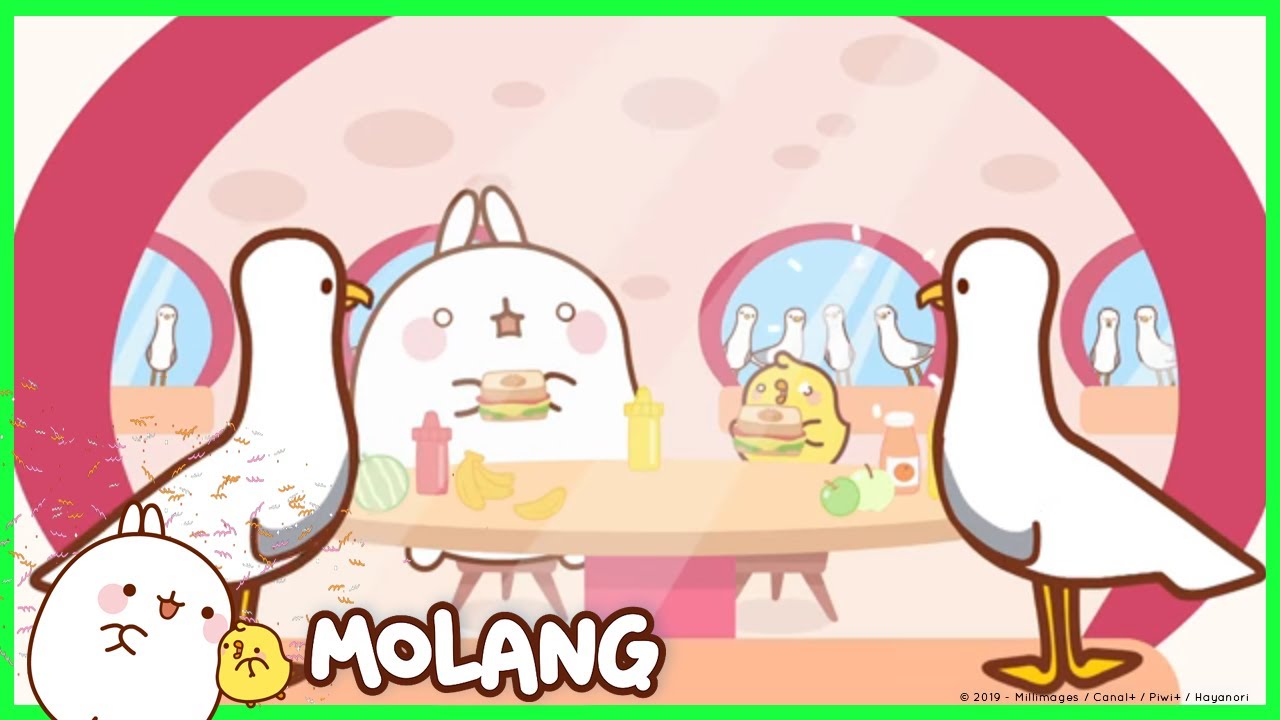 Molang - The Lighthouse | #cutecartoon #funnycartoon Cartoon for kids