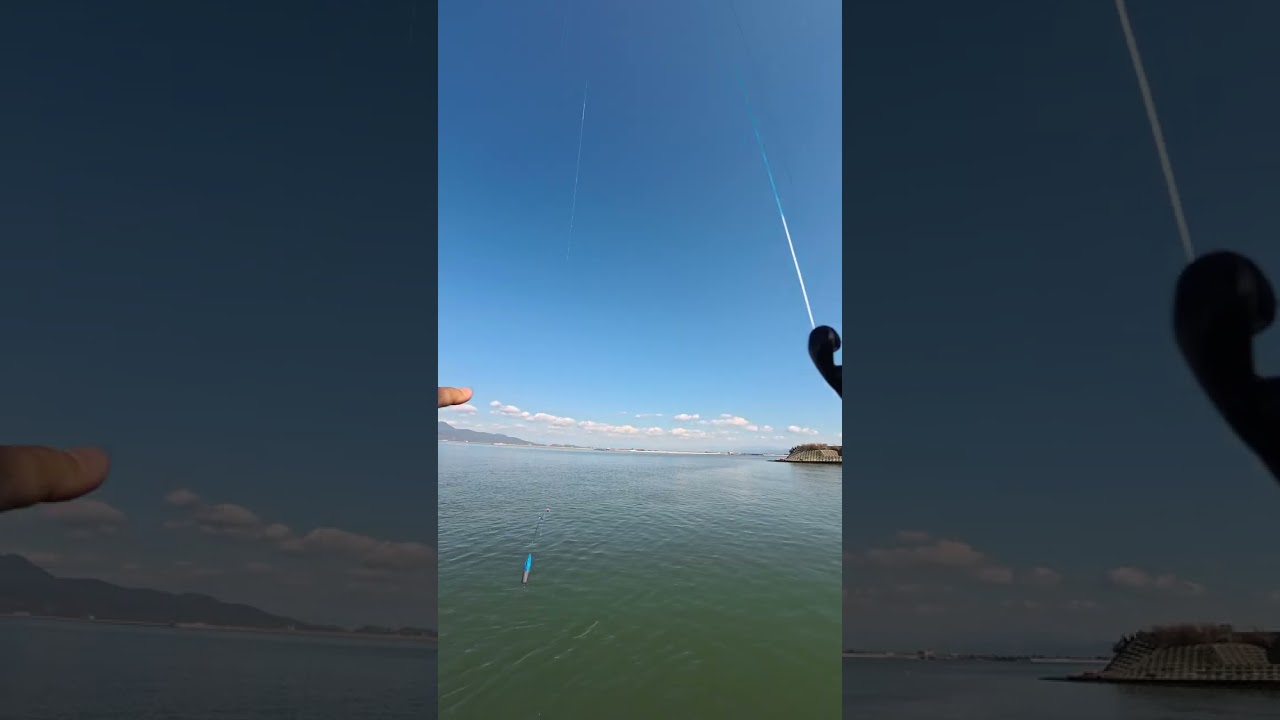 🌊 Tranquility Unleashed: Silent Waves & Fisherman's Muse 🎣