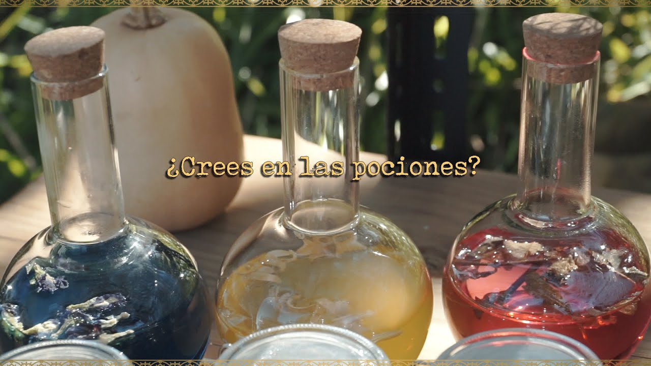 🔮 ¿Crees en las pociones? | ¿Existen o no existen las pociones?  |  Te explico...