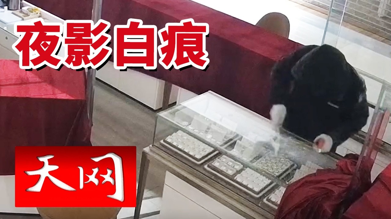 《天网》追击16小时：诡异黑影深夜出没 一枚黄金戒指让真凶无处可藏！20260303