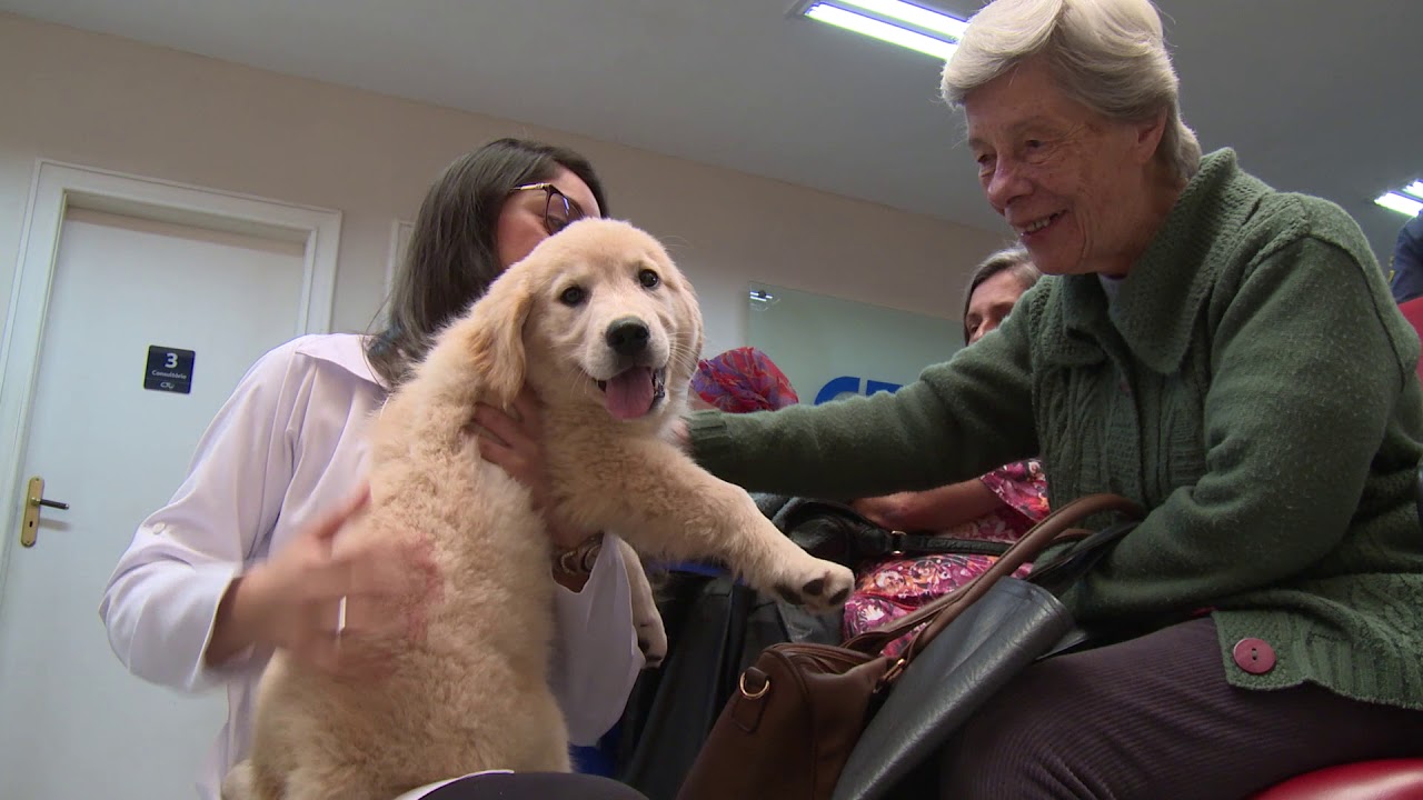 Em Questão -  Terapia Assistida por Animais