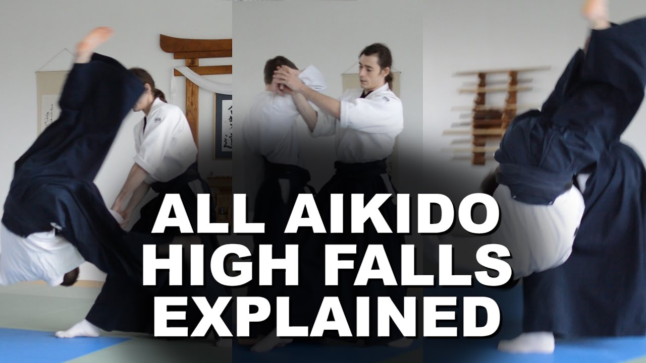 All Aikido High Falls Explained!