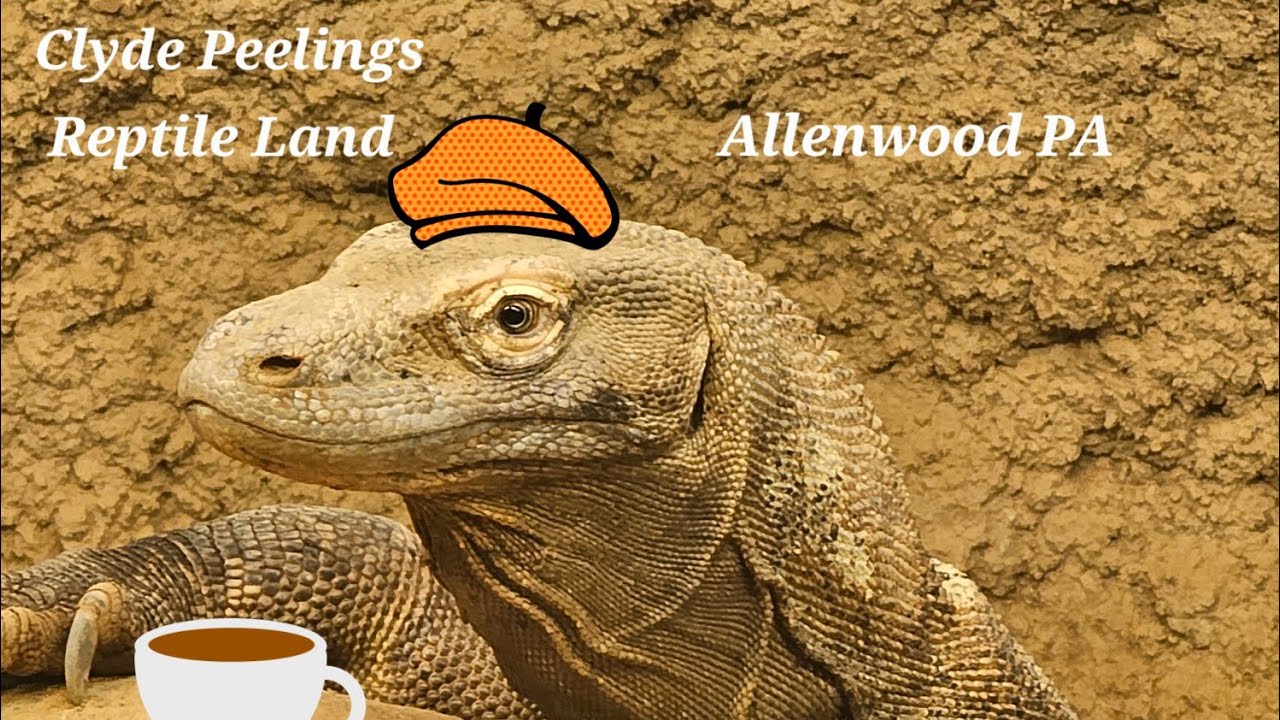 Clyde Peelings Reptile Land In Allenwood PA 