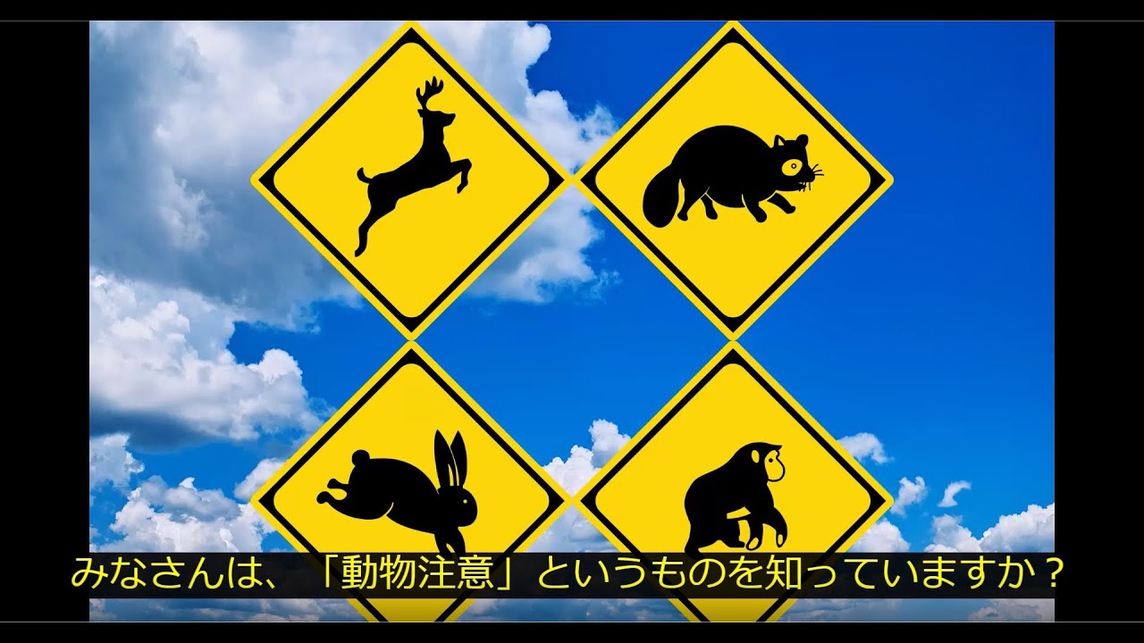 ゼミ生制作動画（動物注意標識）/ Video Production