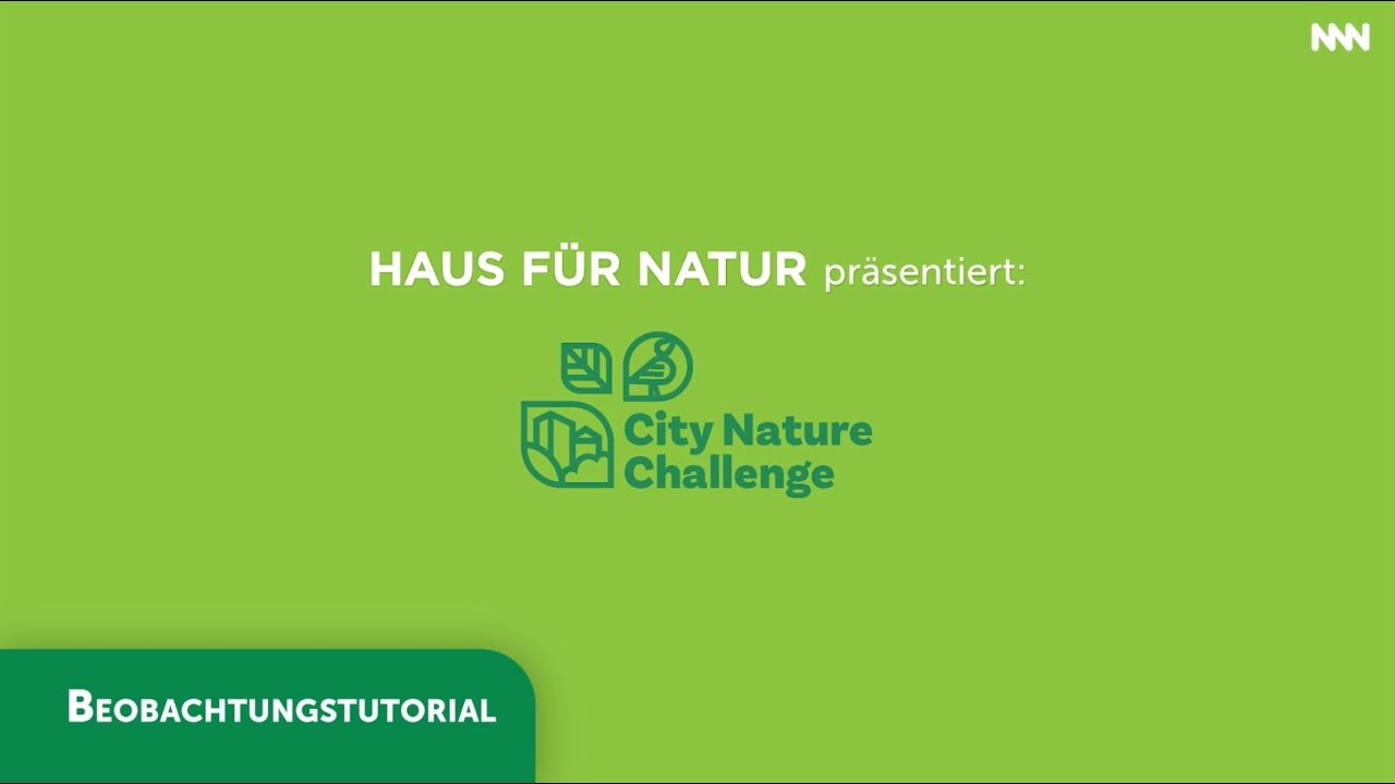 City Nature Challenge - Beobachtungstutorial