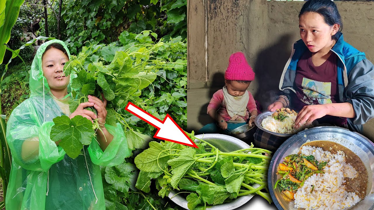 फर्शिको मुन्टा र आलुको तरकारी सँग भात  Green Pumpkin Vine & Potatoes fry recipe with rice eating