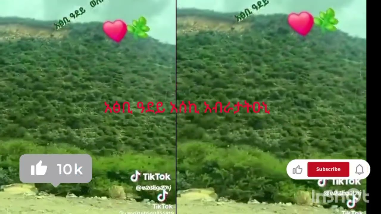 ድቂ አፅቢ #አበይ አለኩም  ንዑ  አሰኪ ሰብሰክራይብ ገብሩ #&የኔ ማራት