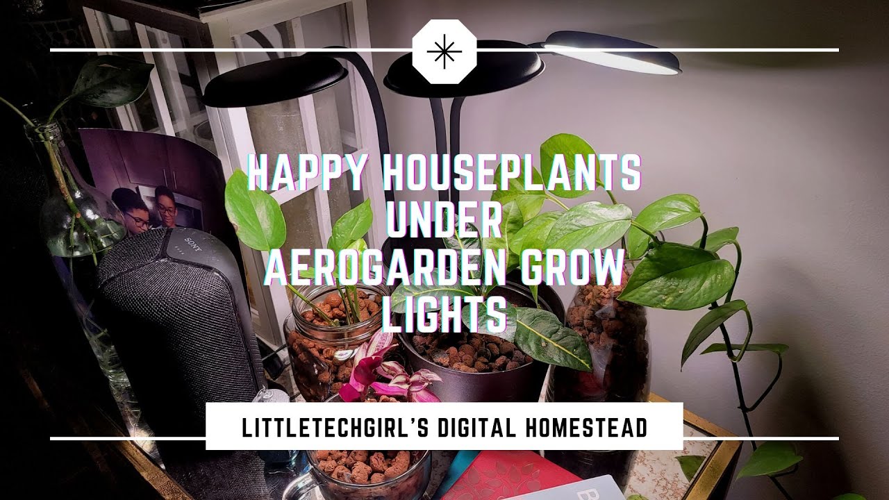 AeroGarden Stem, Trio, and TableTop Grow Lights for Houseplants Review