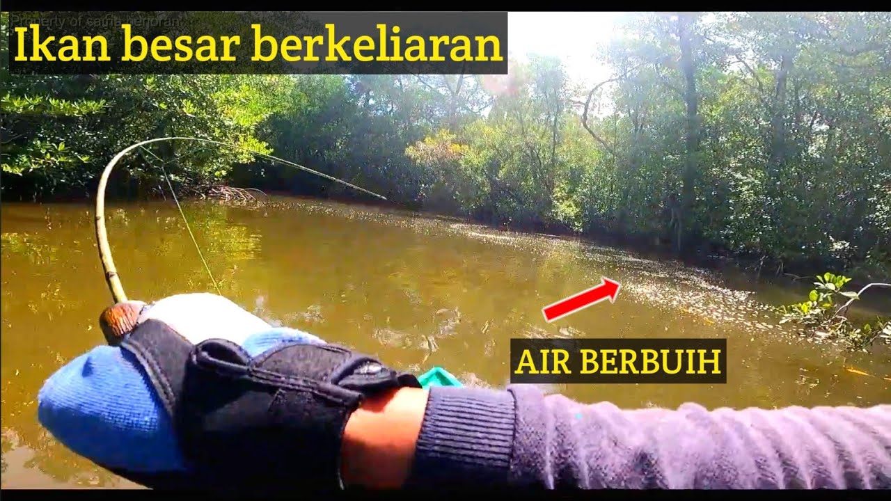 Nampak jelas permukaan air berbuih pertanda ada ikan besar dibawahnya