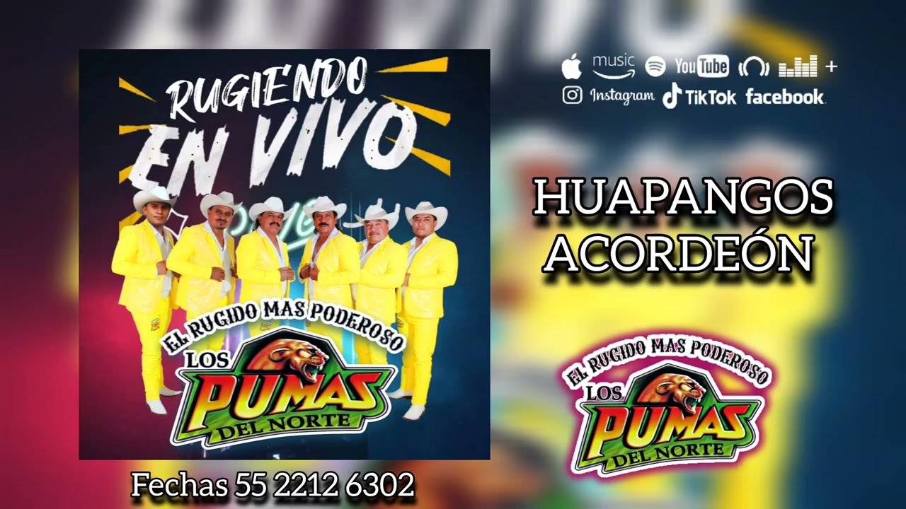 Huapangos Acordeón (rugiendo en vivo) - Los Pumas Del Norte 2025