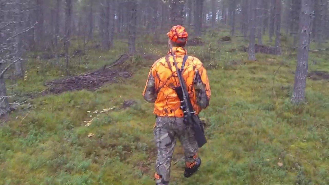 WTPHC - Moose I - Hirvi I Official trailer